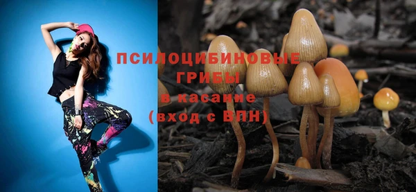 амф Покачи